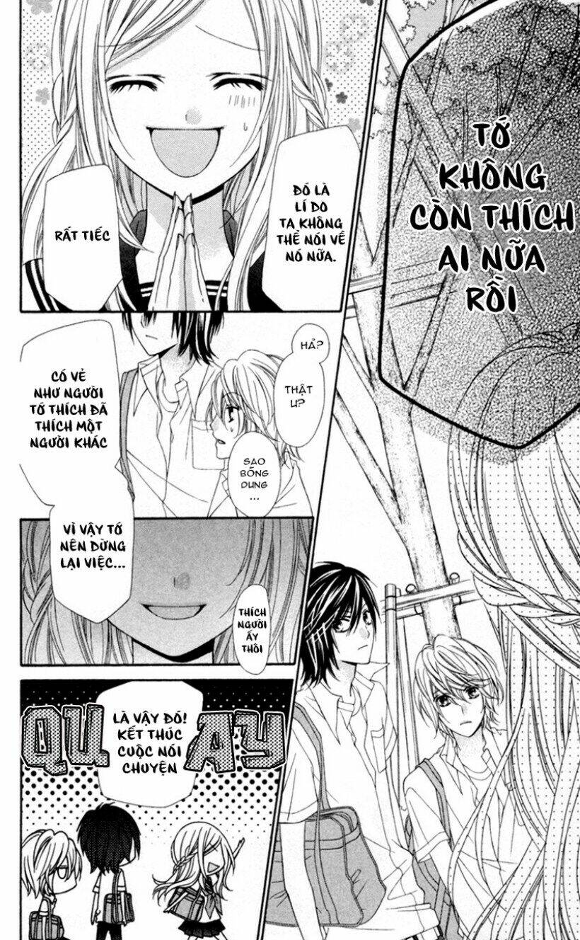 stardust wink chapter 13 21