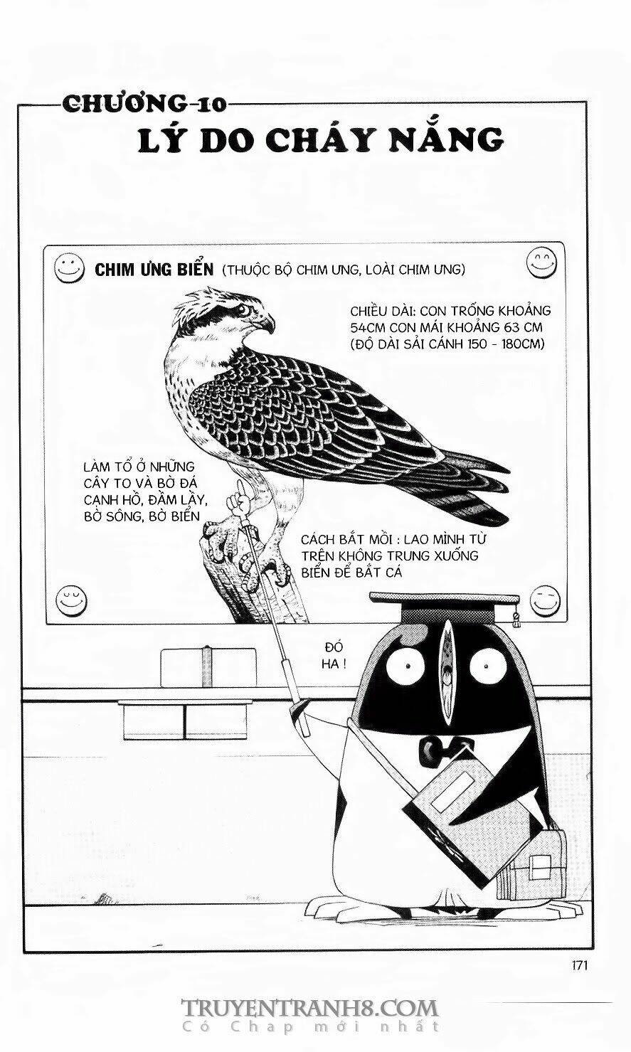 chim cánh cụt ginji chapter 71 4
