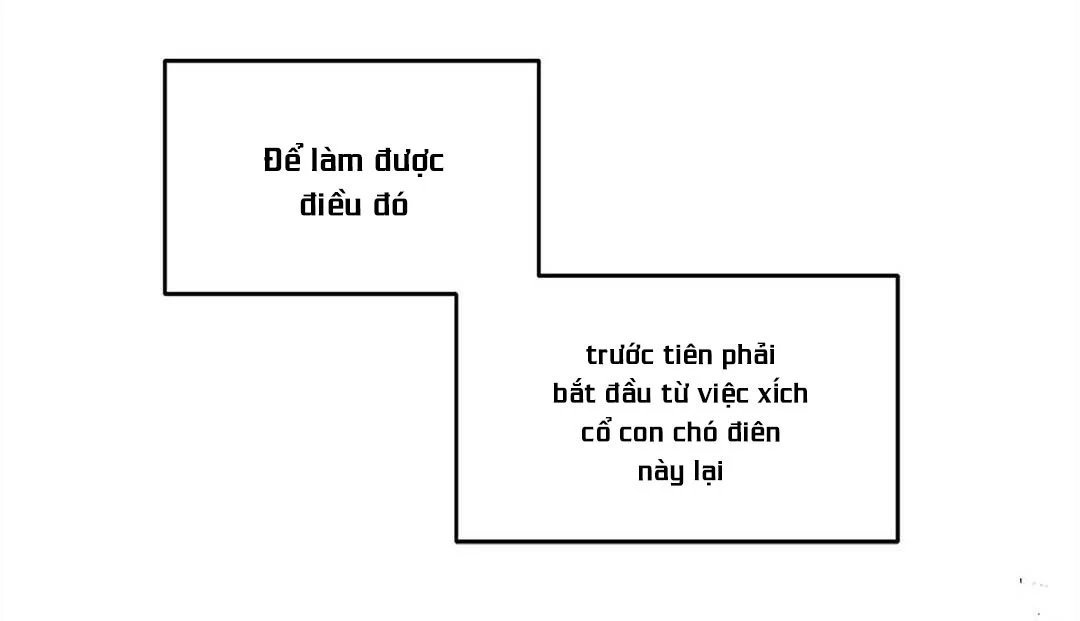 guide cấp b chapter 17 150