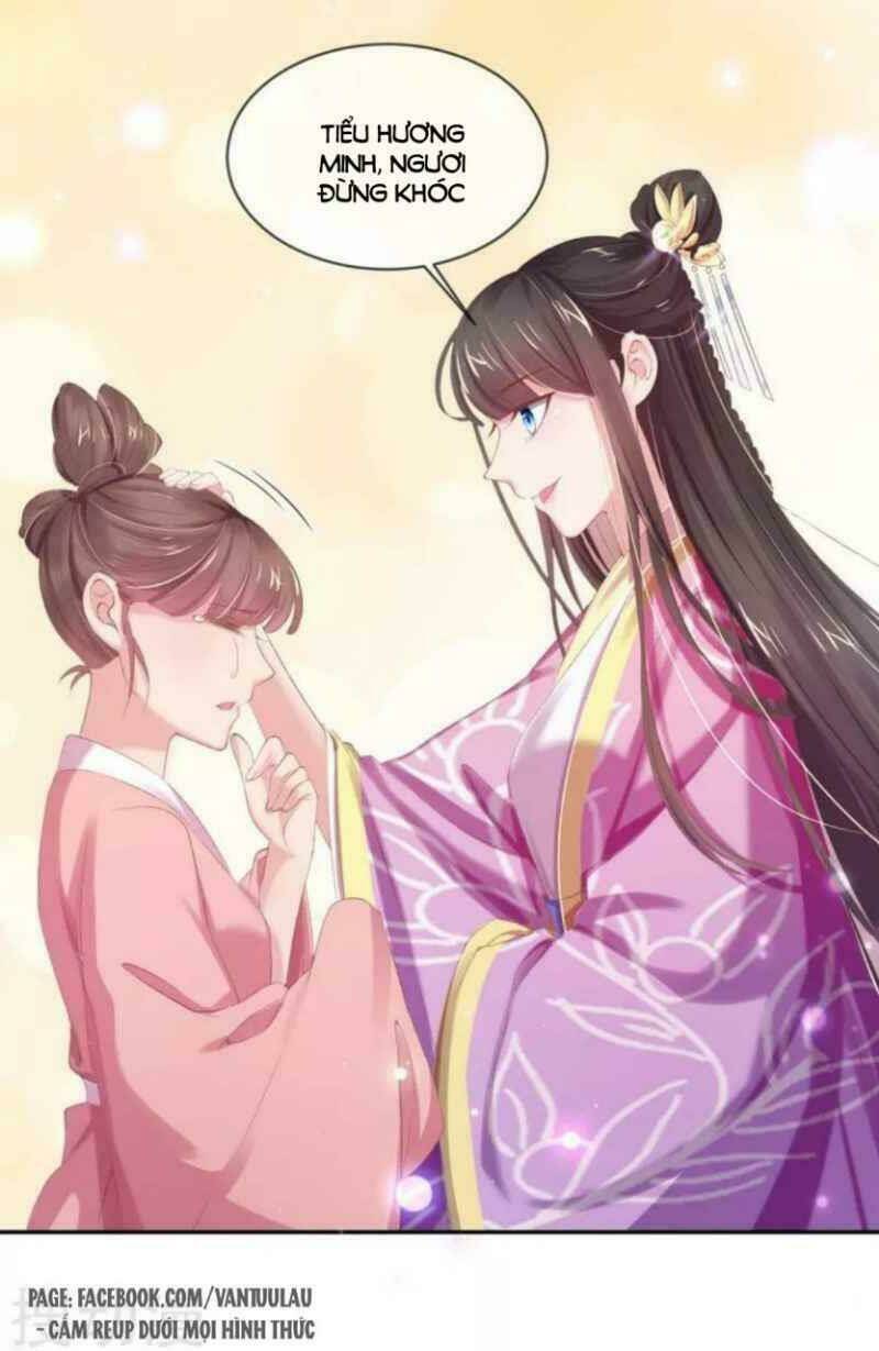 thị huyết y phi chapter 45 7