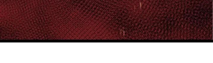 từ cây cổ thụ bắt đầu tiến hóa chapter 97 150