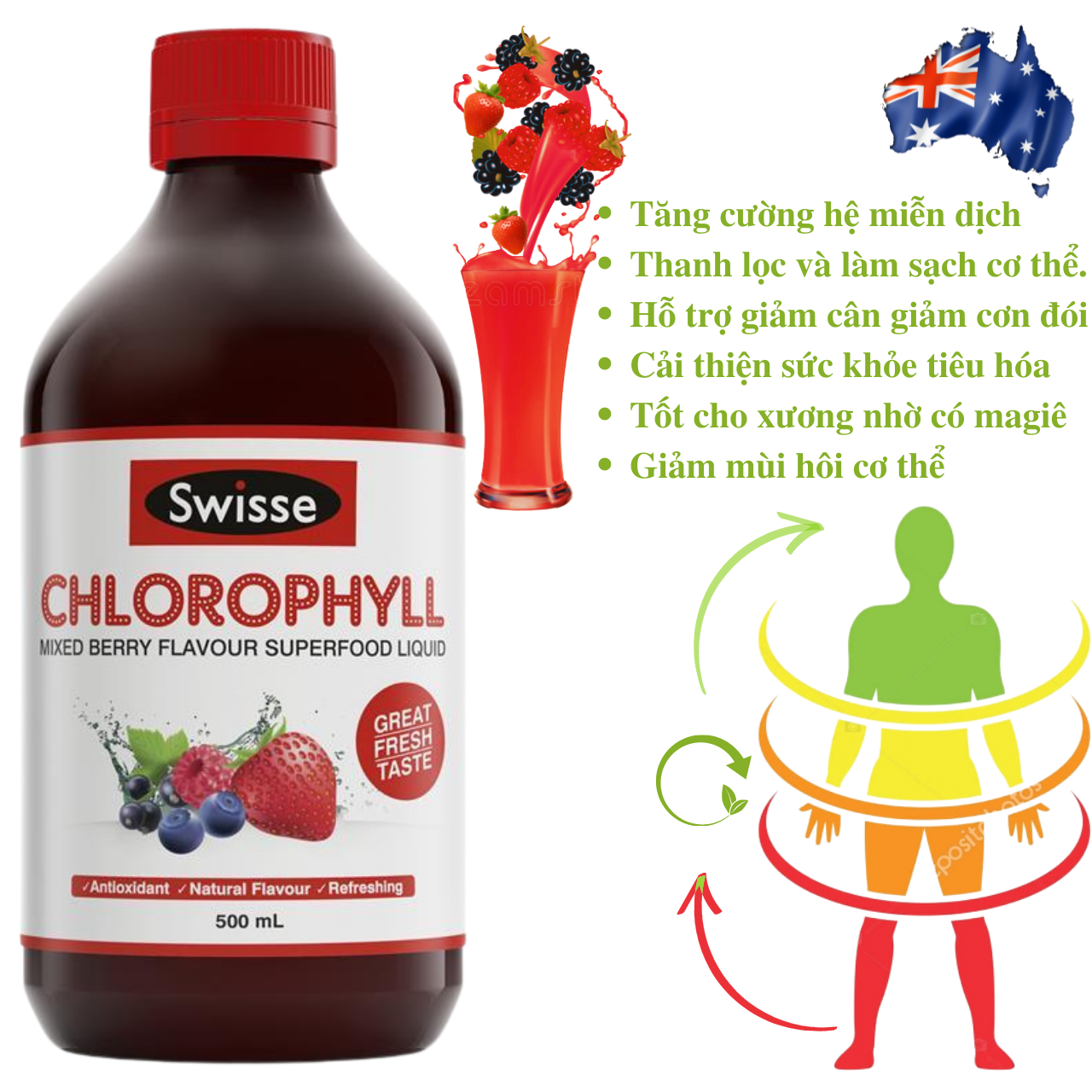 Nước diệp lục cô đặc Swisse Chlorophyll giàu chất chống oxy hóa, tăng cường năng lượng và sức khỏe làn da - Massel Official