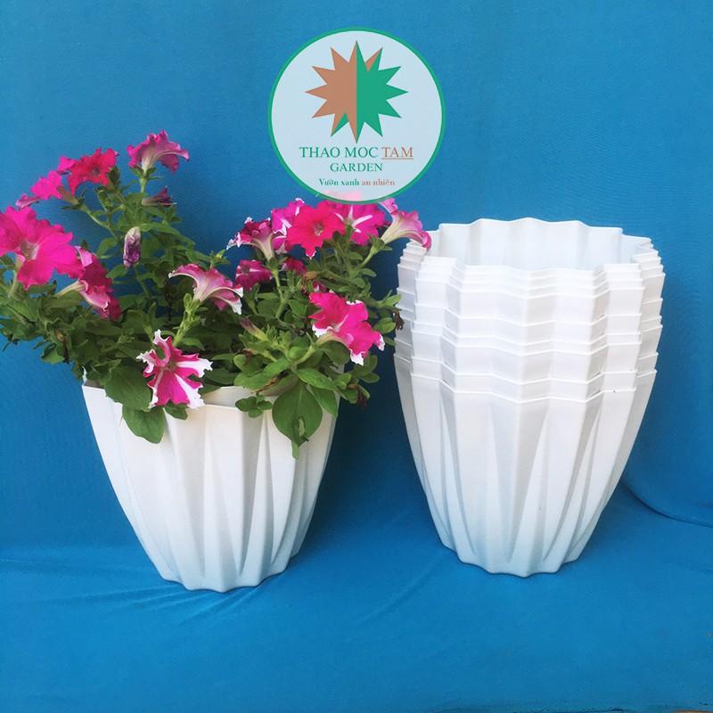 10c Chậu Kim Cương 25x22cm cạnh khế – Chậu nhựa kim cương nhiều cạnh, trồng hoa, cây kiểng trang trí sang trọng
