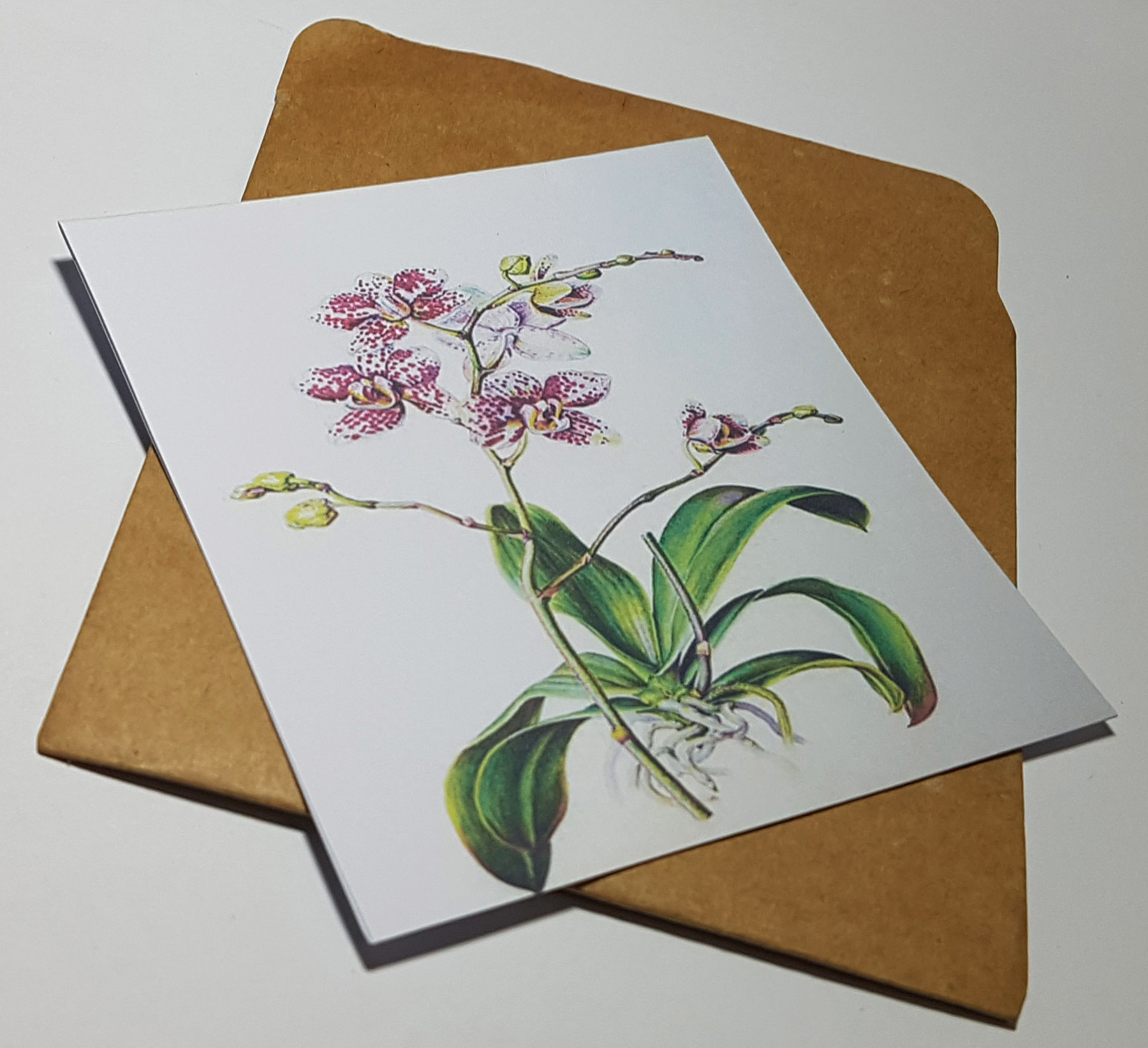 Thiệp phong cách Vintage card quà cám ơn ,chúc mừng sinh nhật và giử tặng người thân yêu