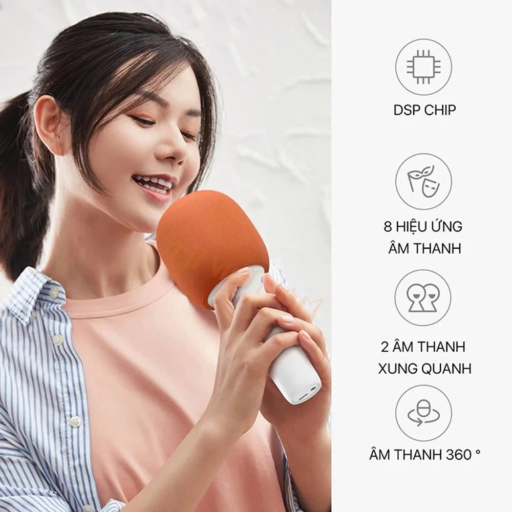 Micro Karaoke Bluetooth kèm loa kết nối điện thoại, máy tính bảng Hát Không Dây, Nghe Nhạc, Hỗ Trợ Kết Nối Thẻ Nhớ, USB Pin sạc - Hàng Chính Hãng