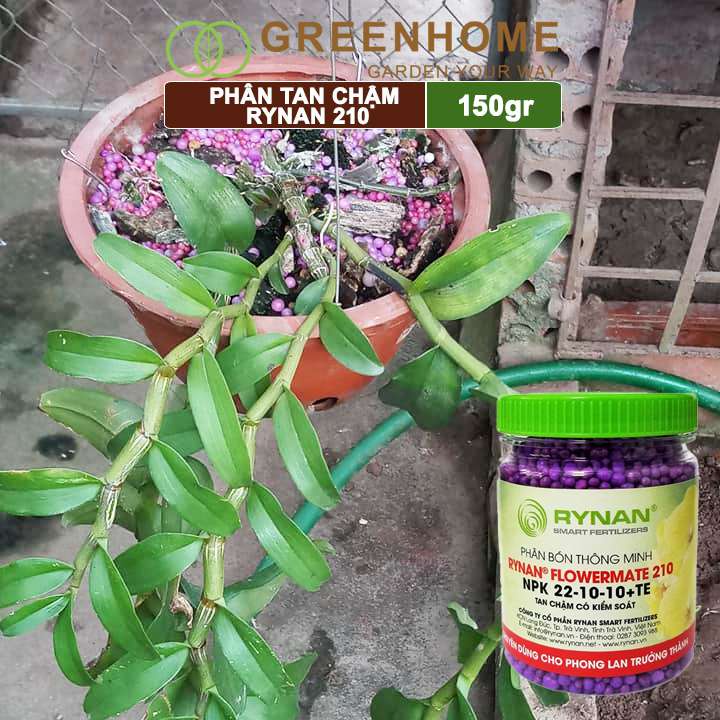 Bộ 3 phân tan chậm Rynan 200-210-220 chuyên Phong Lan 3 giai đoạn dưỡng cây con, kích hoa, phục hồi sau ra hoa |Greenhome