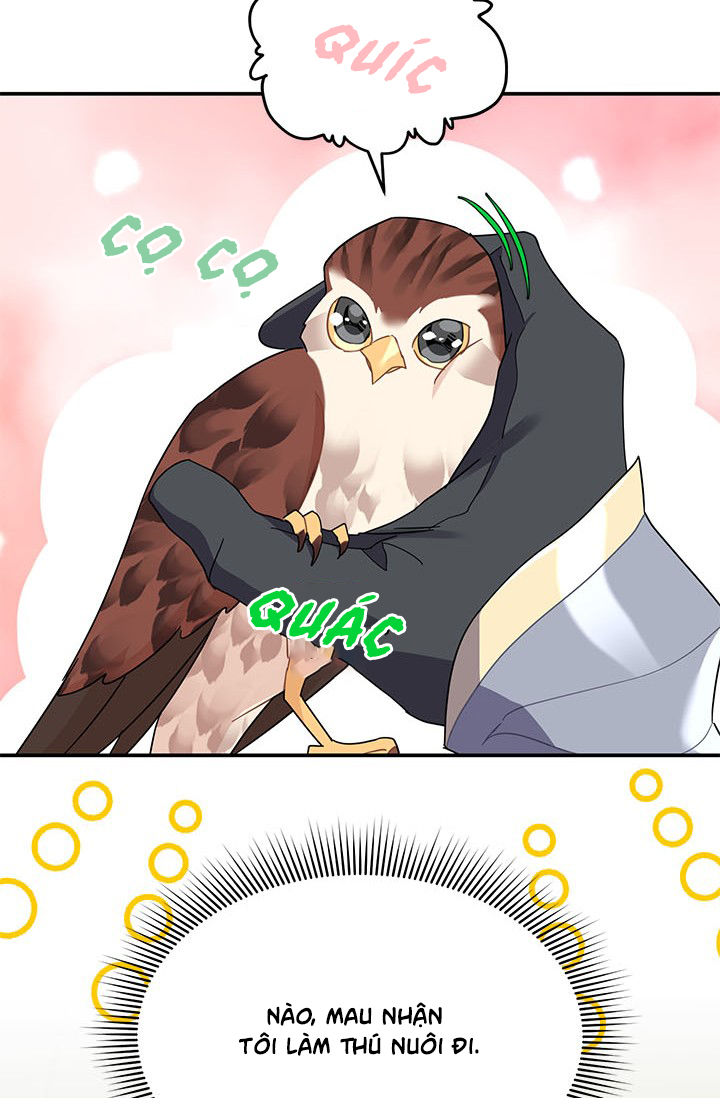 công chúa của loài chim chapter 20 43