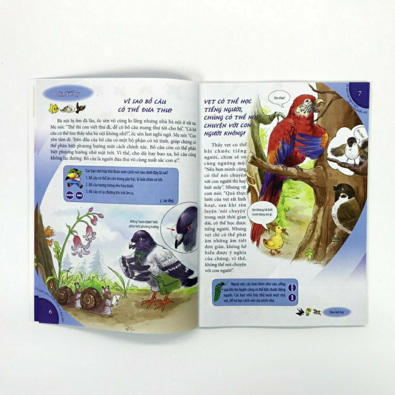 Combo 10 bộ tranh màu 10 vạn câu hỏi vì sao dành cho thiếu nhi