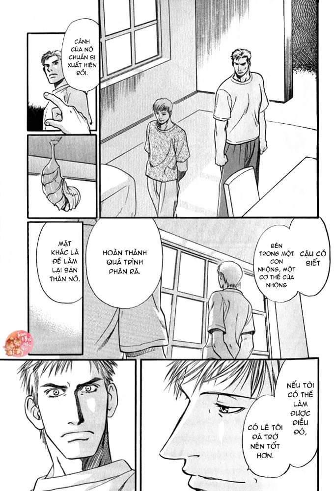 oneshot bl từ nhiều tác giả - mlèo dịch chapter 122 24