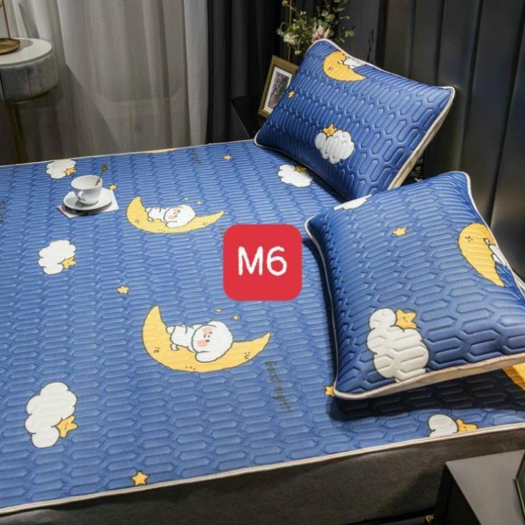Chiếu điều hòa cao su non 2D