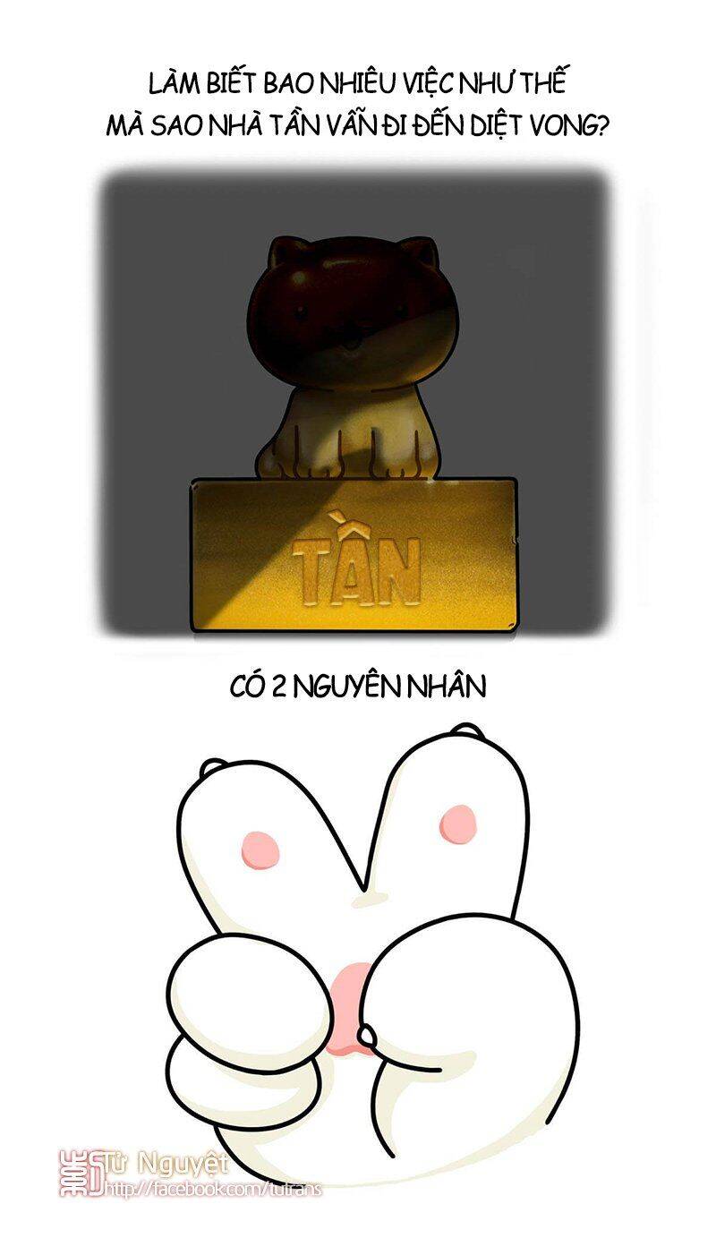 nếu lịch sử là một bầy mèo chapter 27 17