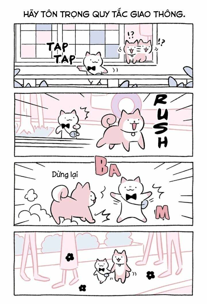 chú mèo kỳ diệu kyuu-chan chapter 703 3