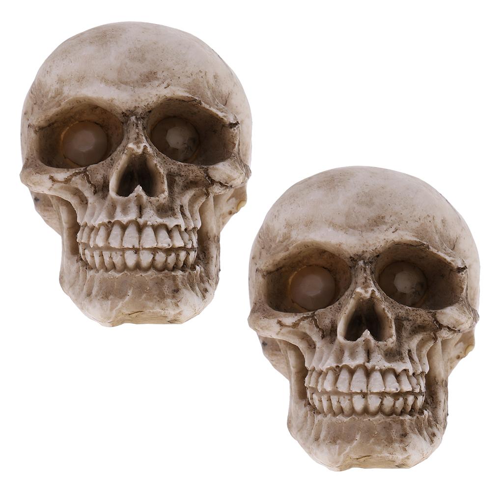 Mô Hình Nhựa Sọ Người Size Nhỏ Halloween Đầu Lâu In Hình Hoa Lá Cho Trẻ Em Quà Tặng