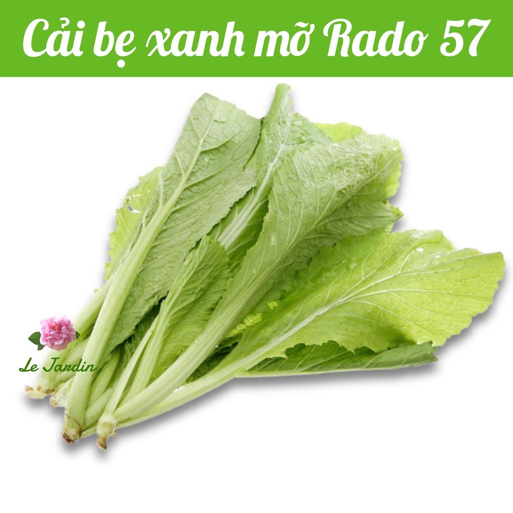 Hạt giống cải bẹ xanh mỡ Rado 57 gói 20gr - DỄ TRỒNG