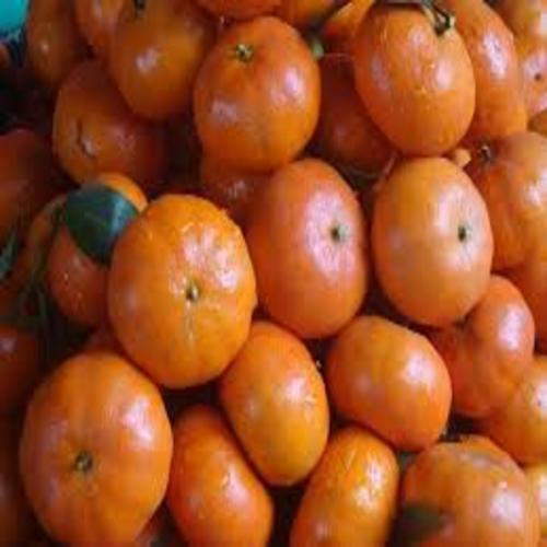 CÂY GIỐNG CAM ĐƯỜNG CANH SIÊU NGON SIÊU QUẢ- CAM KÊT GIỐNG CHUẨN F1