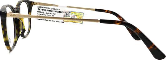 Gọng Kính Unisex Rayban RB5349D 2012