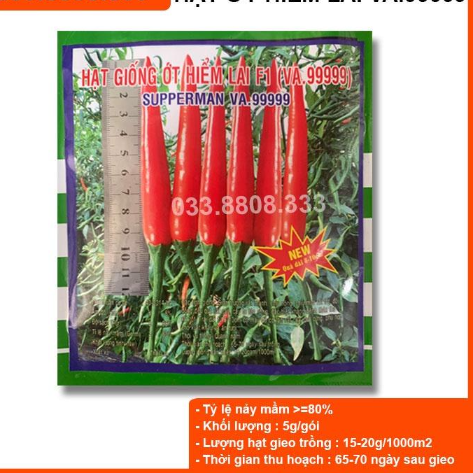Hạt giống Ớt Hiểm Lai F1 VA.99999 - năng suất cao, quả to đẹp