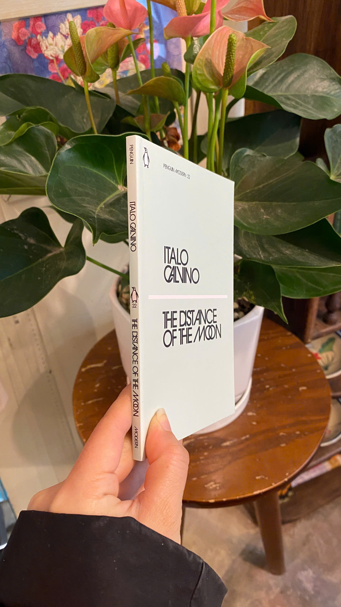 Sách - The Distance of the Moon by Italo Calvino | Short Stories / Science Fiction / Ngoại văn