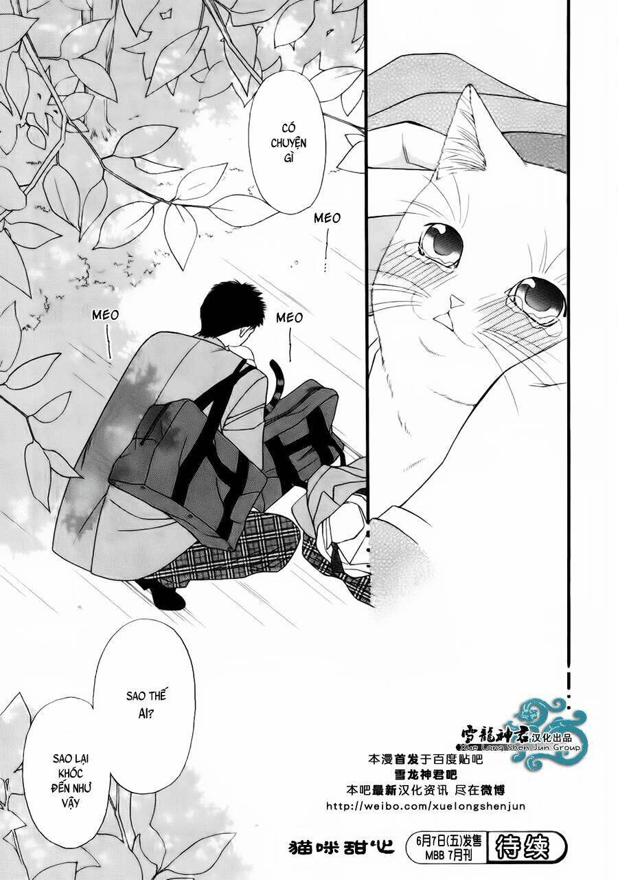 neko neko honey chapter 8 32