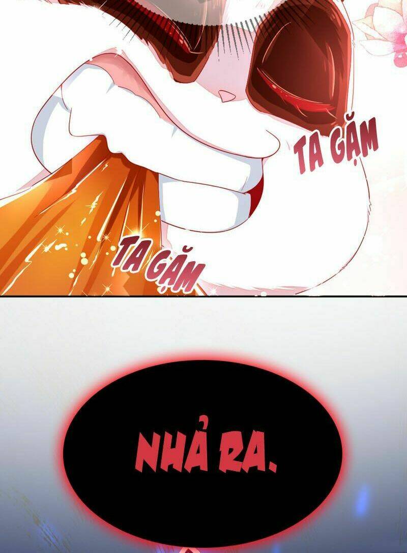 thiên thần gấu trúc muốn được ôm chapter 41 6