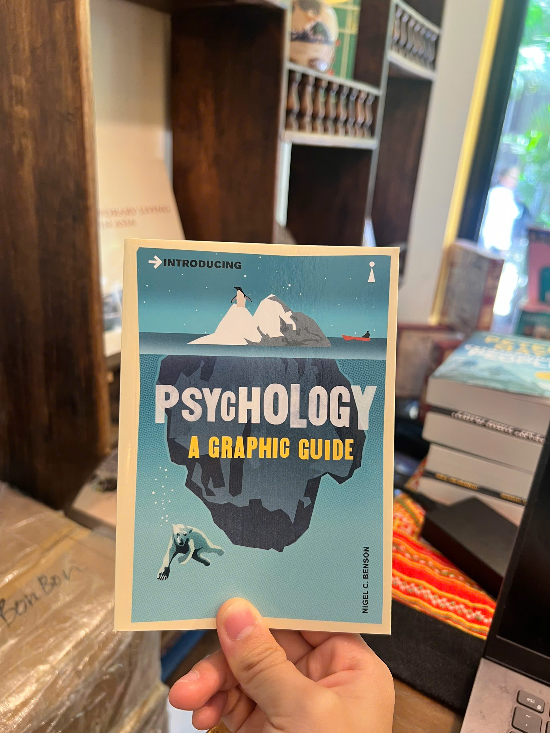 Sách - Introducing Psychology: A Graphic Guide to Your Mind & Behaviour | Ngoại văn / Tâm lý học