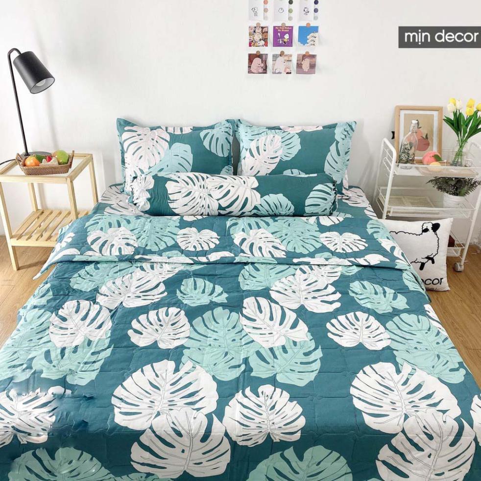 Bộ chăn ga gối cotton 3D kèm chăn trần bông hè mềm mịn bo chun miễn phí