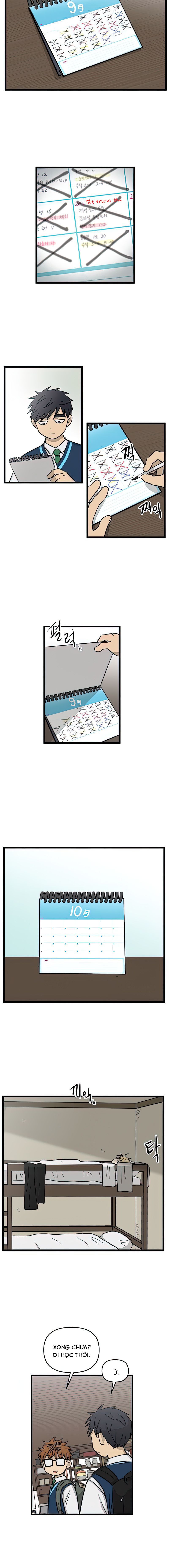 no home - không nhà chapter 166 11