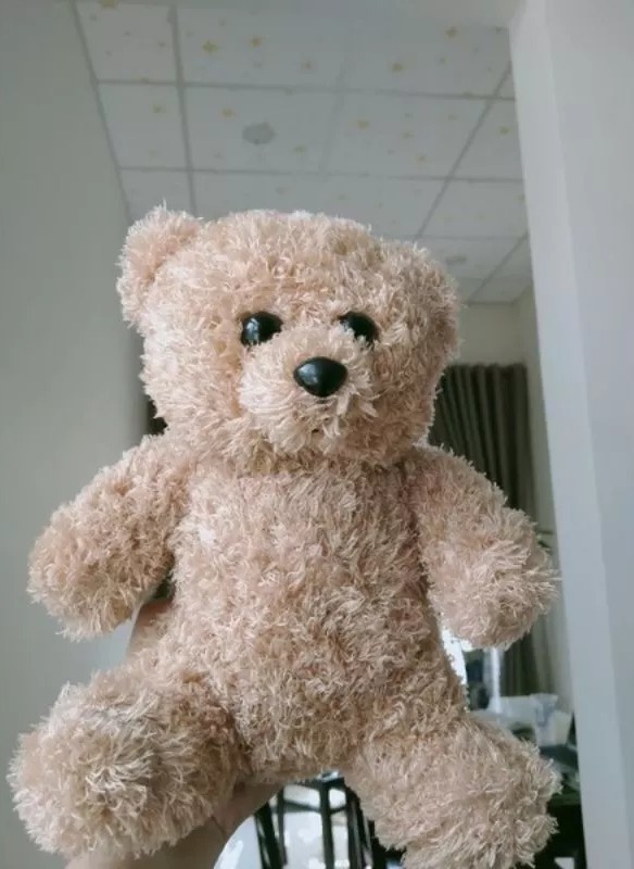 Gấu Teddy lông xù đáng yêu