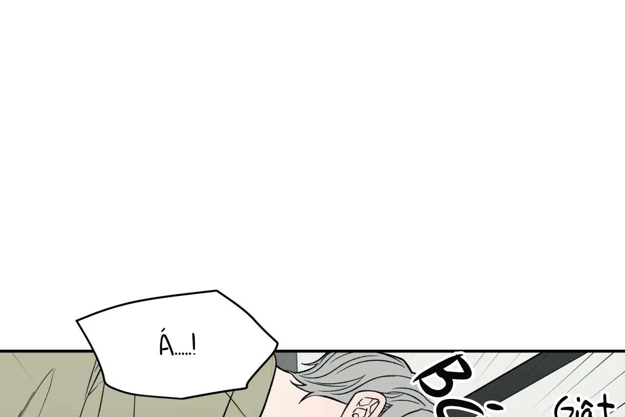 ám ảnh pheromone chapter 55 57