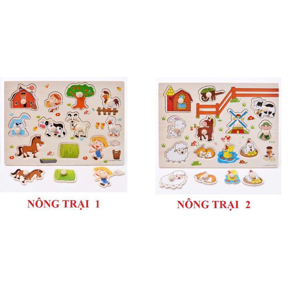 Combo 5 bảng gỗ có núm cầm chọn chủ đề cho bé 23x30 cm