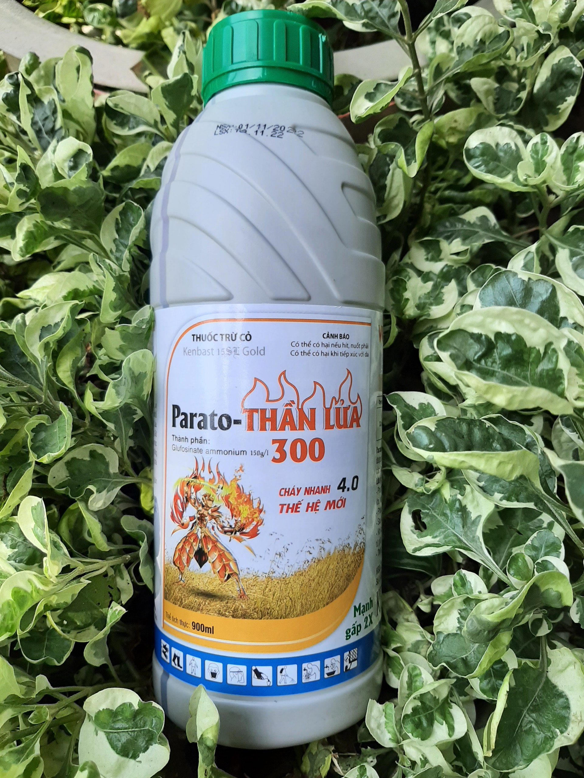 Thuốc trừ cỏ lưu dẫn (khai hoang) Parato THẦN LỬA 300 chai 900ml - Công ty BMC