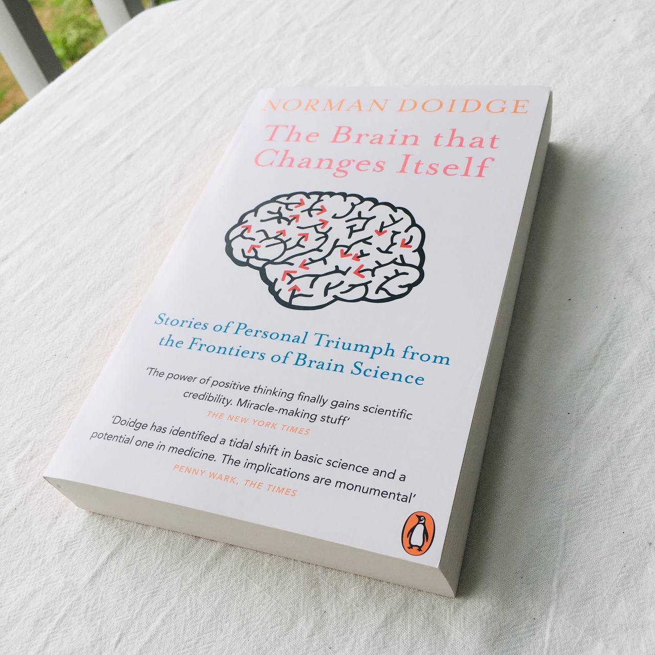 The Brain That Changes Itself : Stories of Personal Triumph from the Frontiers of Brain Science