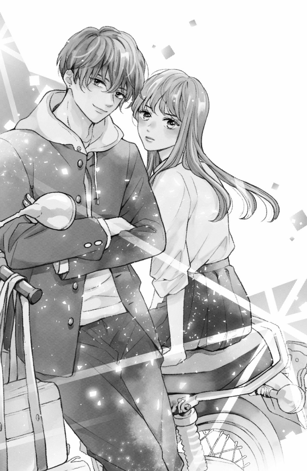 Hikaeme Ni Ittemo, Kore Wa Ai 1 - Love, That's An Understatement (Japanese Edition)