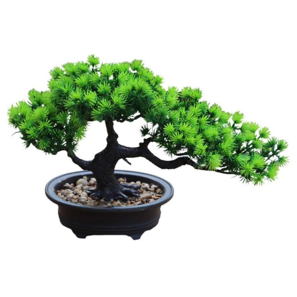 Cây thông giả, chậu cây cảnh bonsai trang trí để bàn, kệ tủ xanh mát tự nhiên CT-03