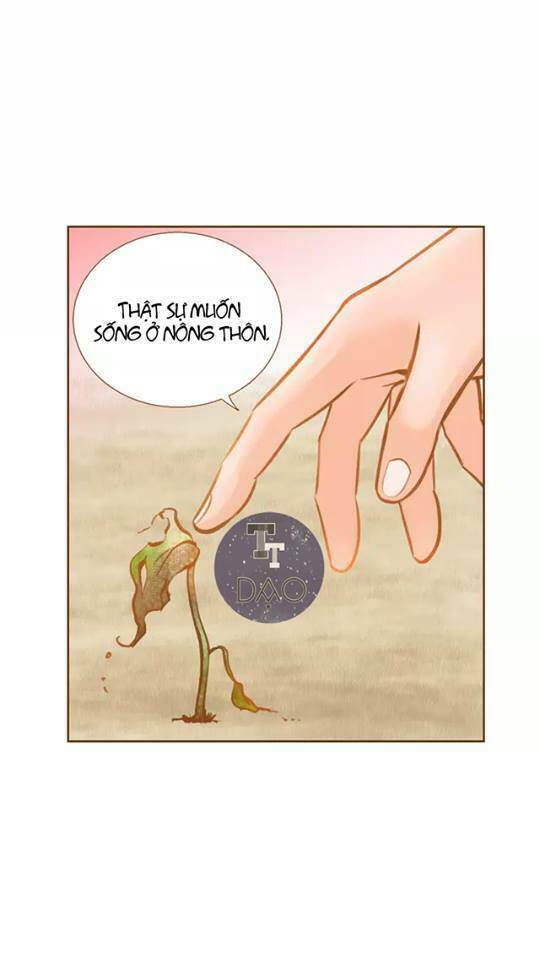 tân lang yếu tòng tiểu dưỡng khởi chapter 13 10