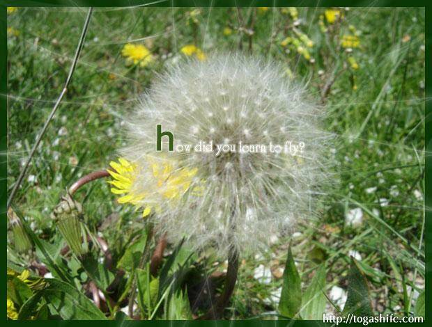 perfect girl evolution chapter 24 45