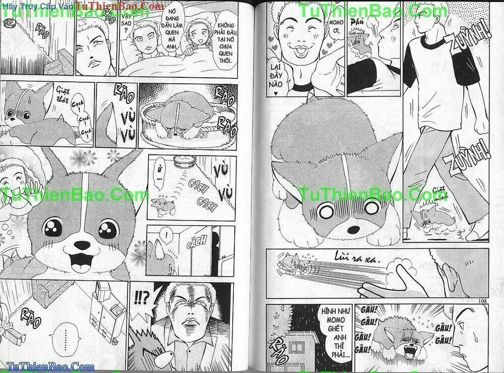 chó con mo mo chapter 1 55