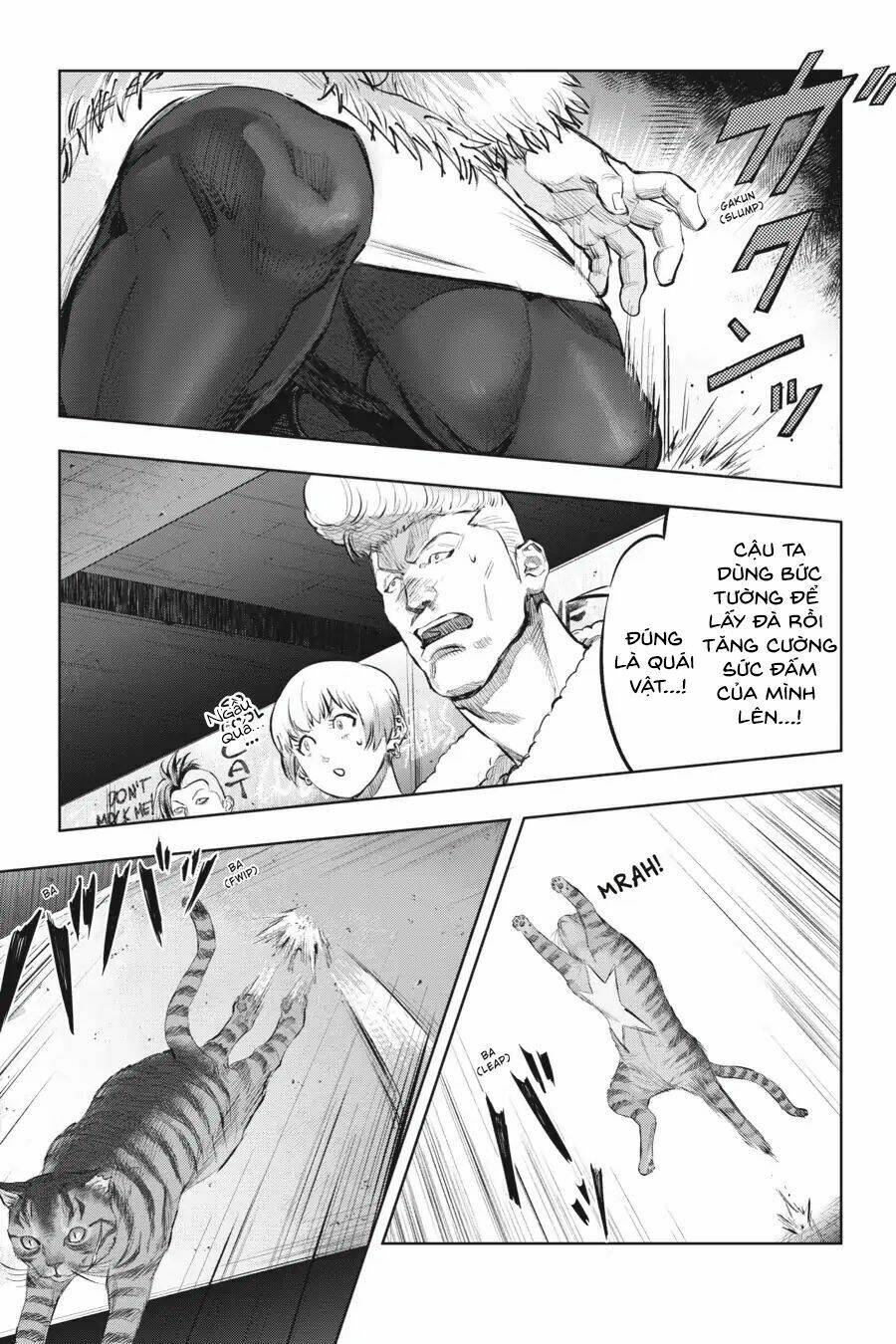 nyankees chapter 8 28