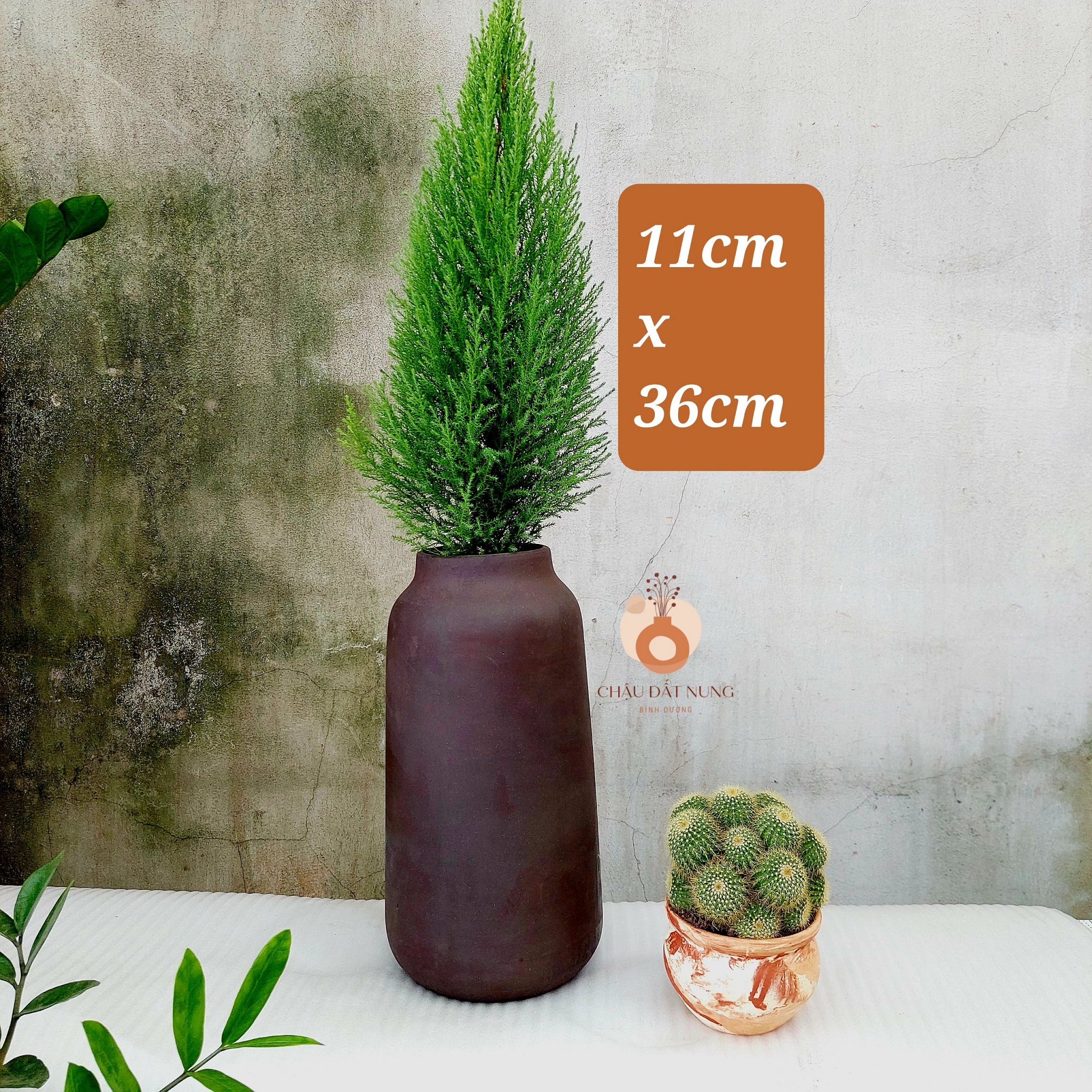 Chậu đất nung, Chậu sen đá - Bình hoa 1136, miệng chậu 11cm, chiều cao 36cm