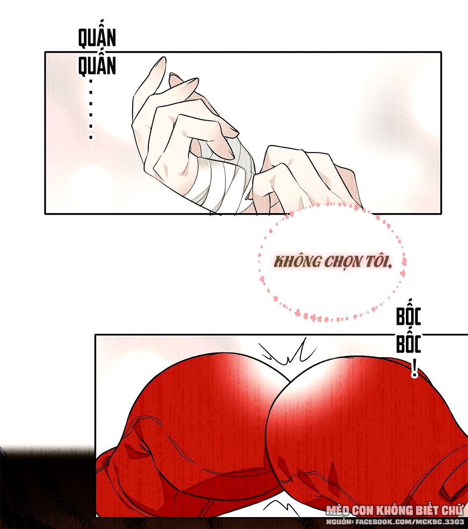 long phượng phiên chuyển chapter 49 19