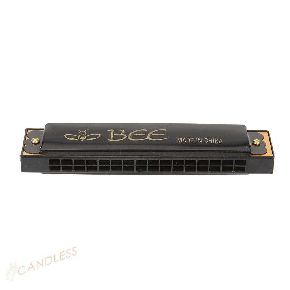 Kèn Harmonica 16 Lỗ Cho Người Mới Bắt Đầu