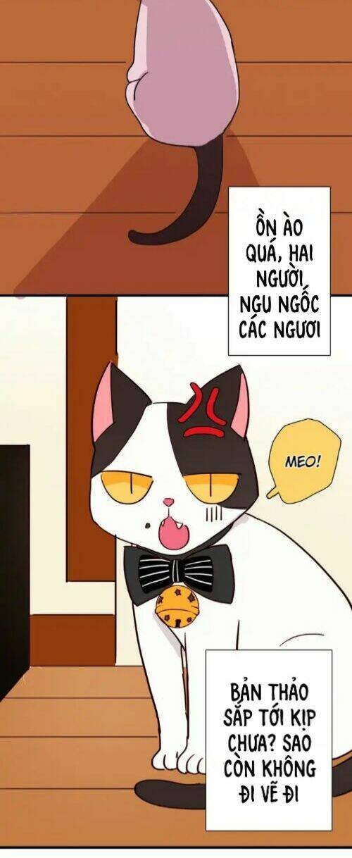 gấu nhỏ dư và thỏ thỏ hứa chapter 13 28