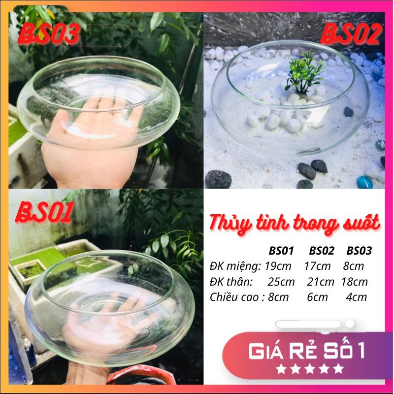 Bể cá mini, bể cá TRÒN THẤP