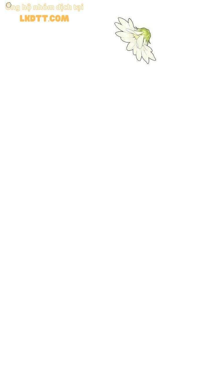 nữ hoàng ngoại khoa chapter 81 60