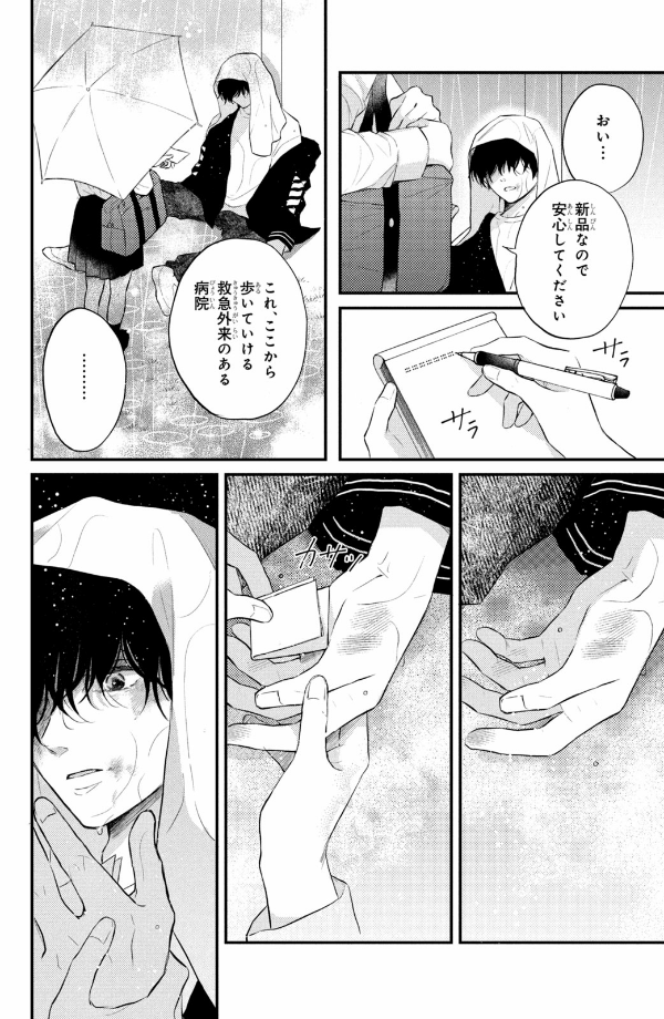 Hikaeme Ni Ittemo, Kore Wa Ai 1 - Love, That's An Understatement (Japanese Edition)