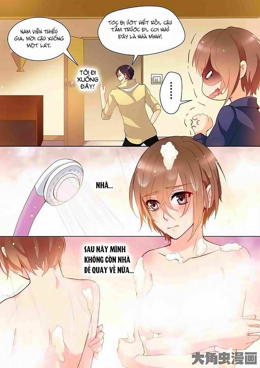 tinh tinh bất thị phát quang thể chapter 4 8