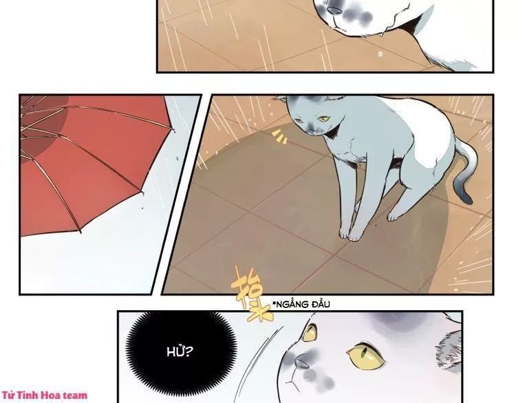 thời khắc ấy, chúng ta gặp nhau chapter 20 18