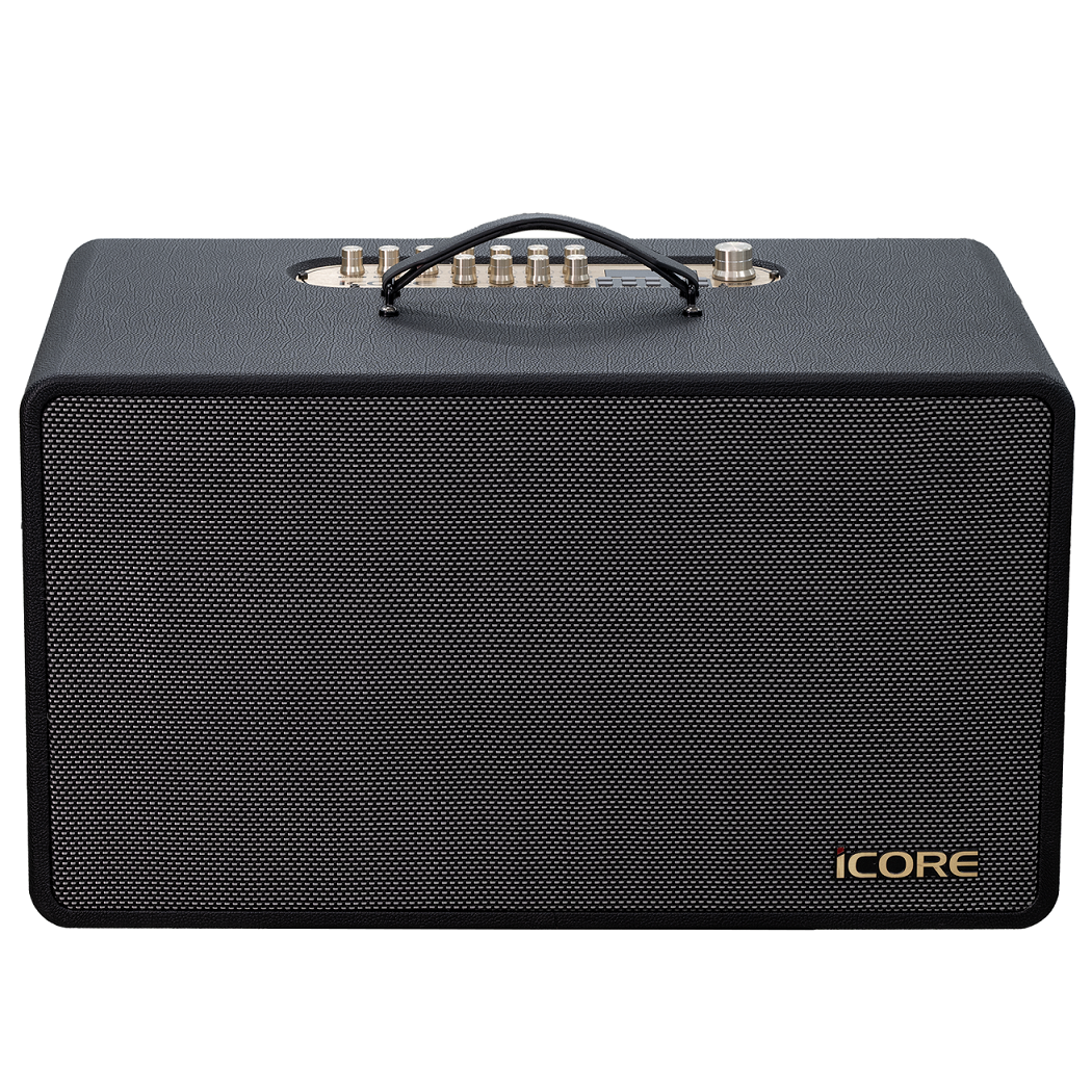 Bộ Loa Karaoke xách tay iCore S9 kèm 02 micro - Hàng Chính Hãng