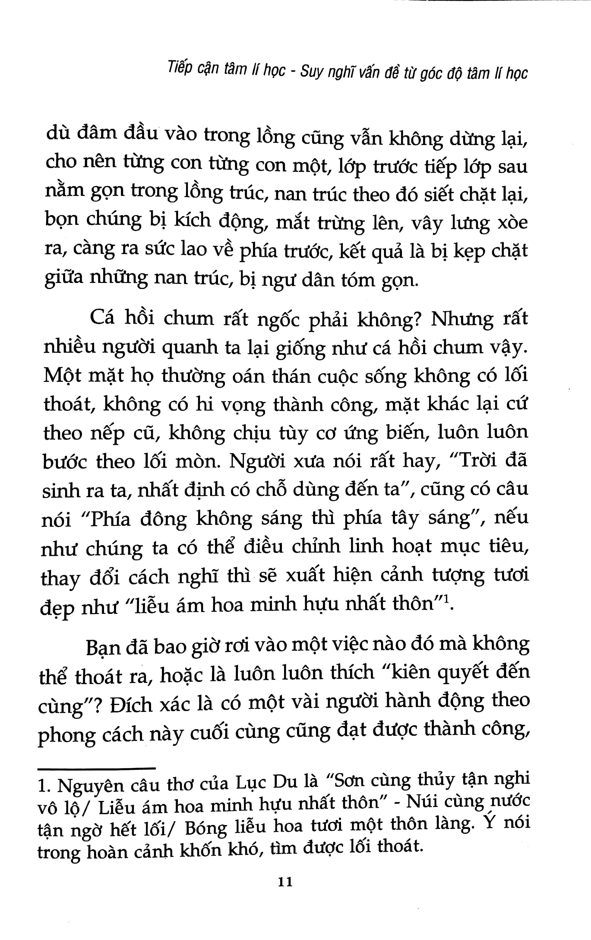 Bạn Có Phải Cá Hồi Chum Không?