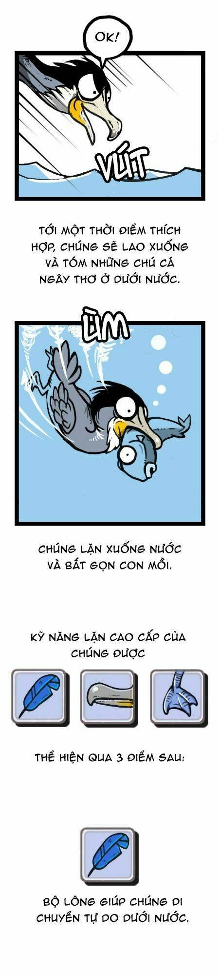 earth, human, and animal chapter 20 22